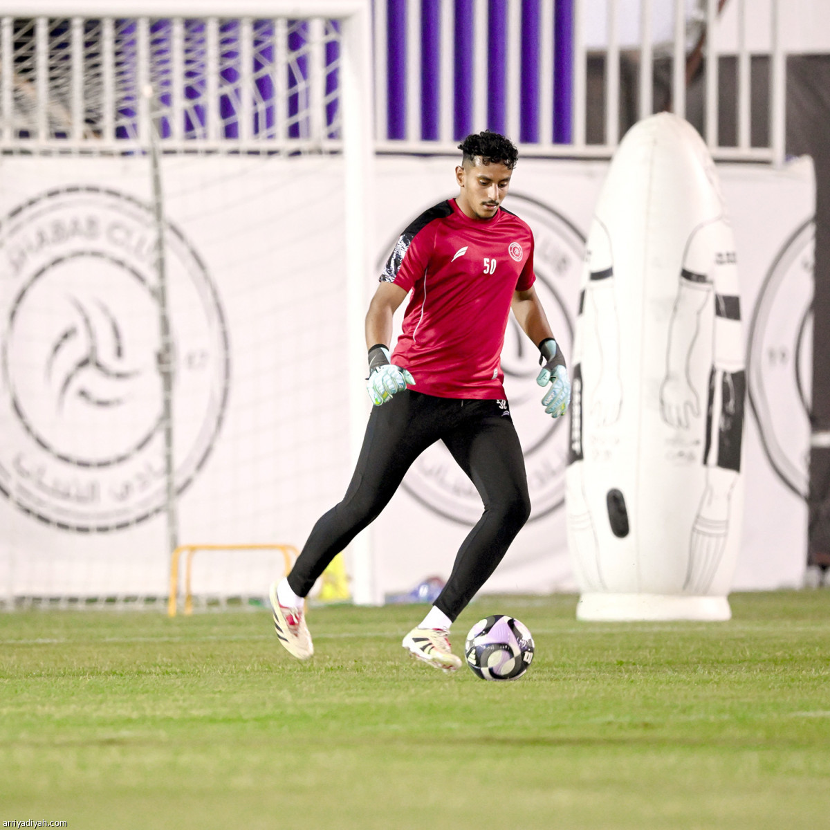 الليوث تتأهب