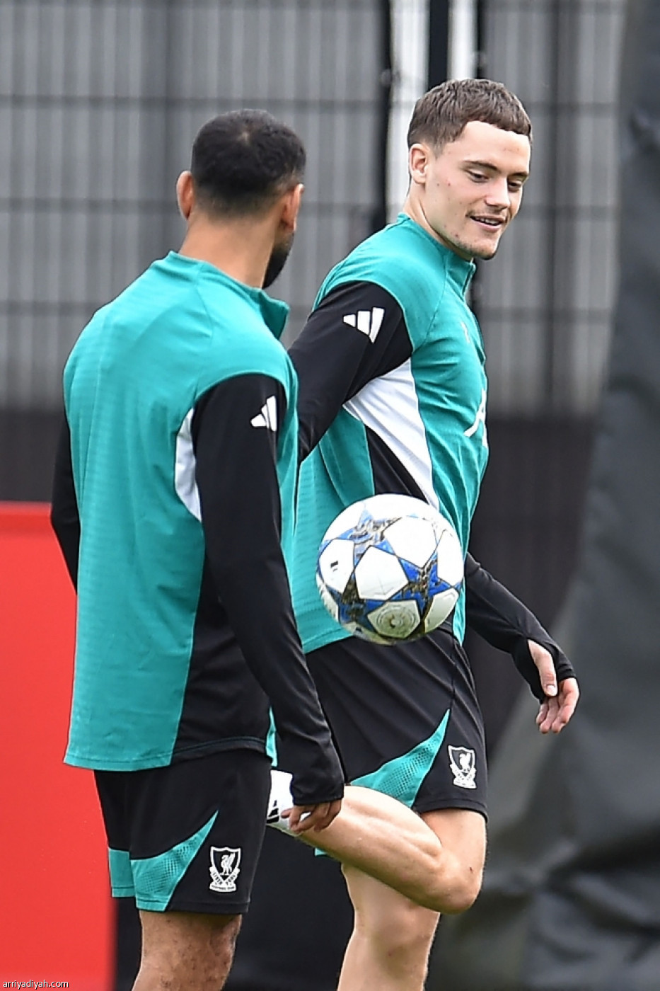 الليفر جاهز