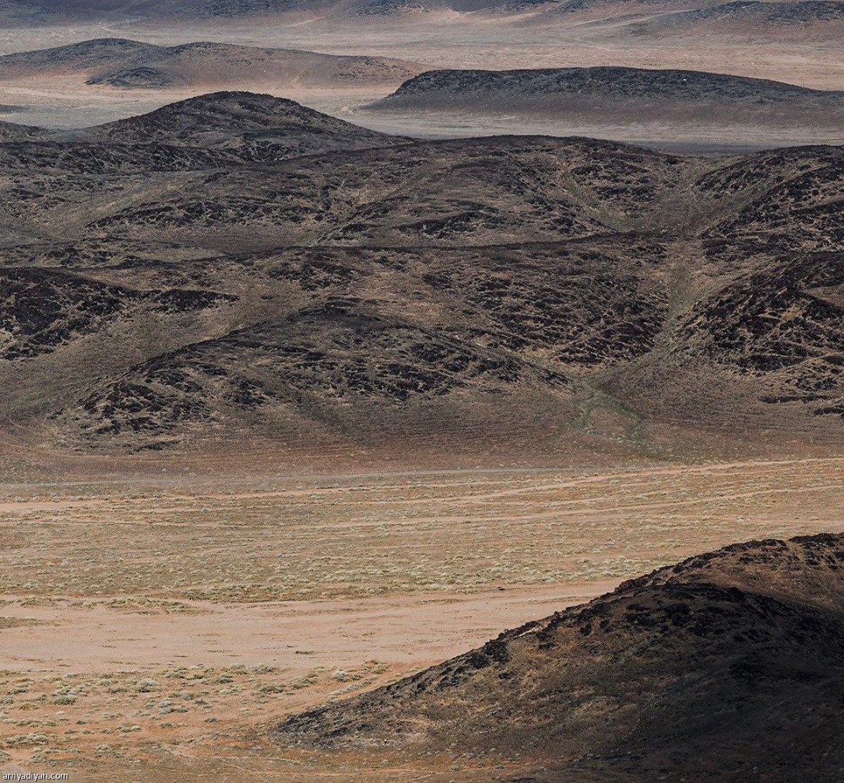 داكار في حائل