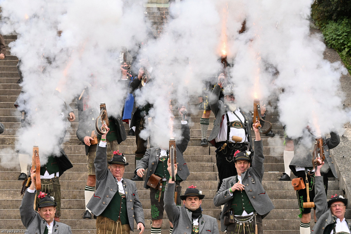 حضور النجوم