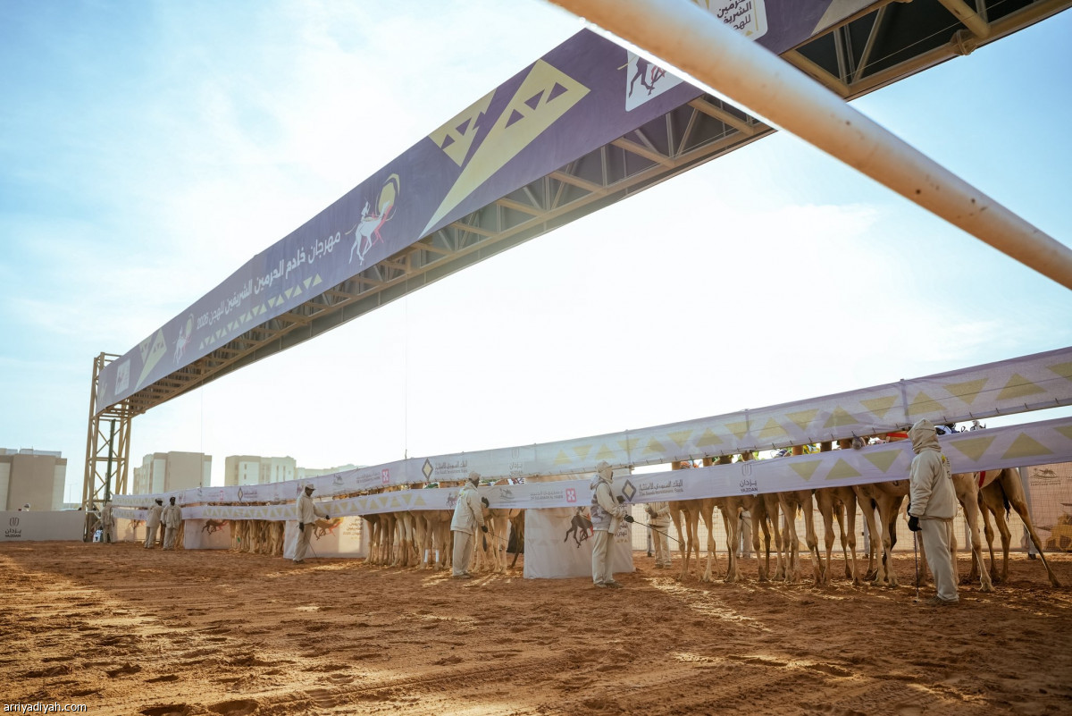 انطلاق المنافسات