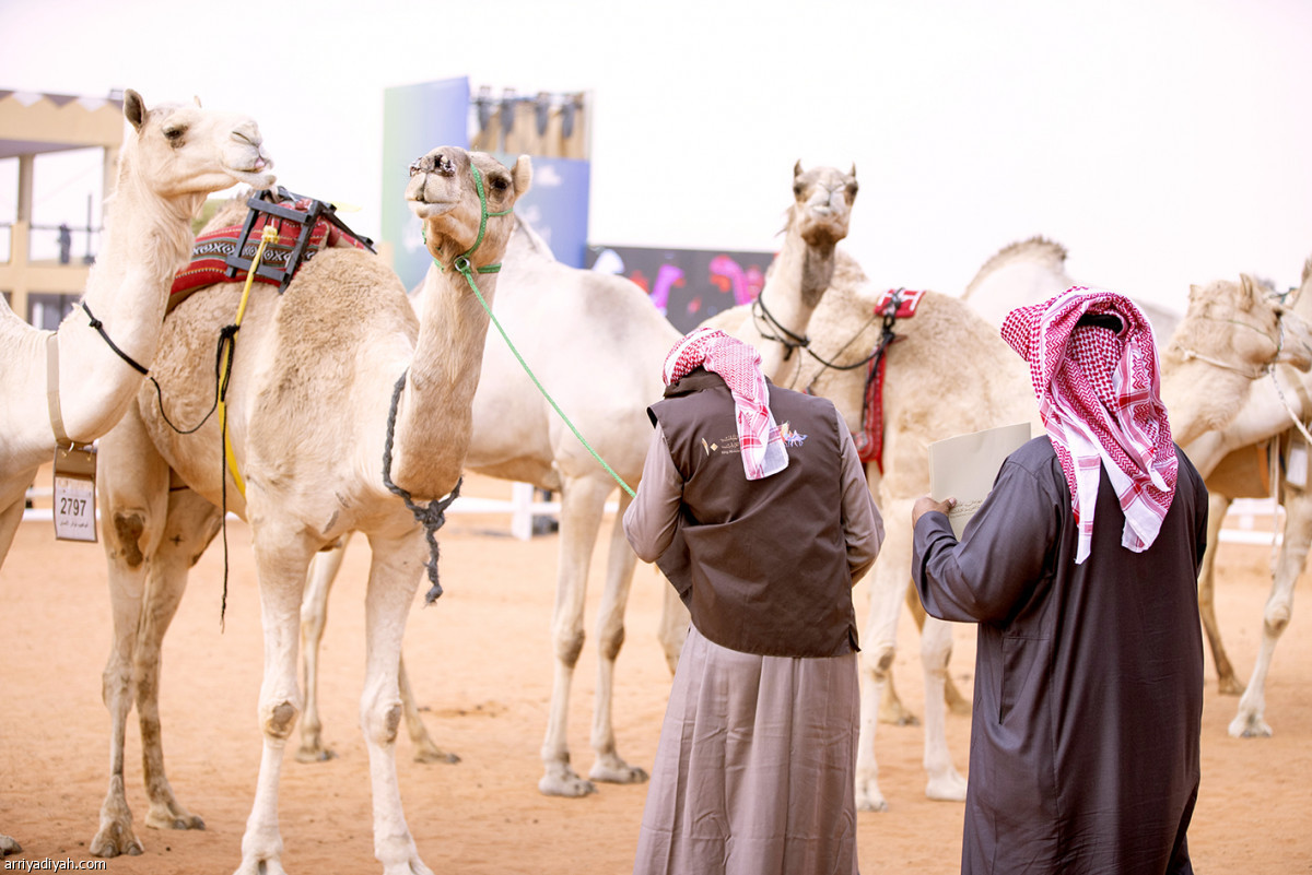 اليوم الرابع