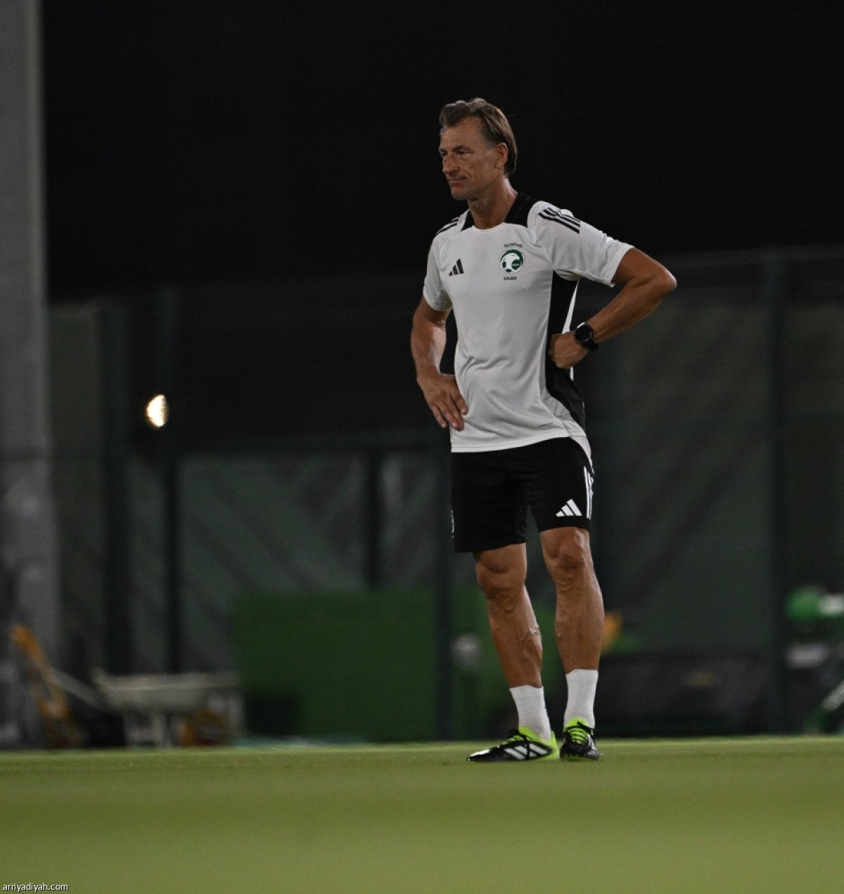 الأخضر مستعد