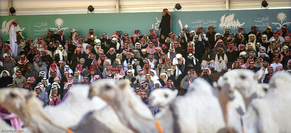 شوط شلفا الوضح